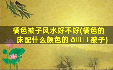 橘色被子风水好不好(橘色的床配什么颜色的 🐕 被子)